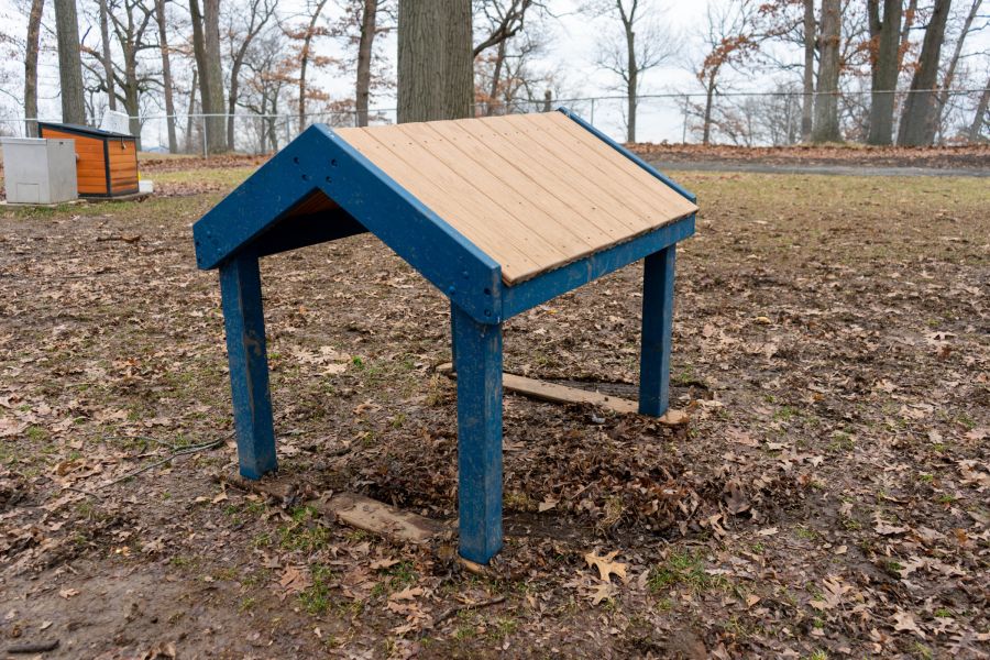 Rum Village Dog Park